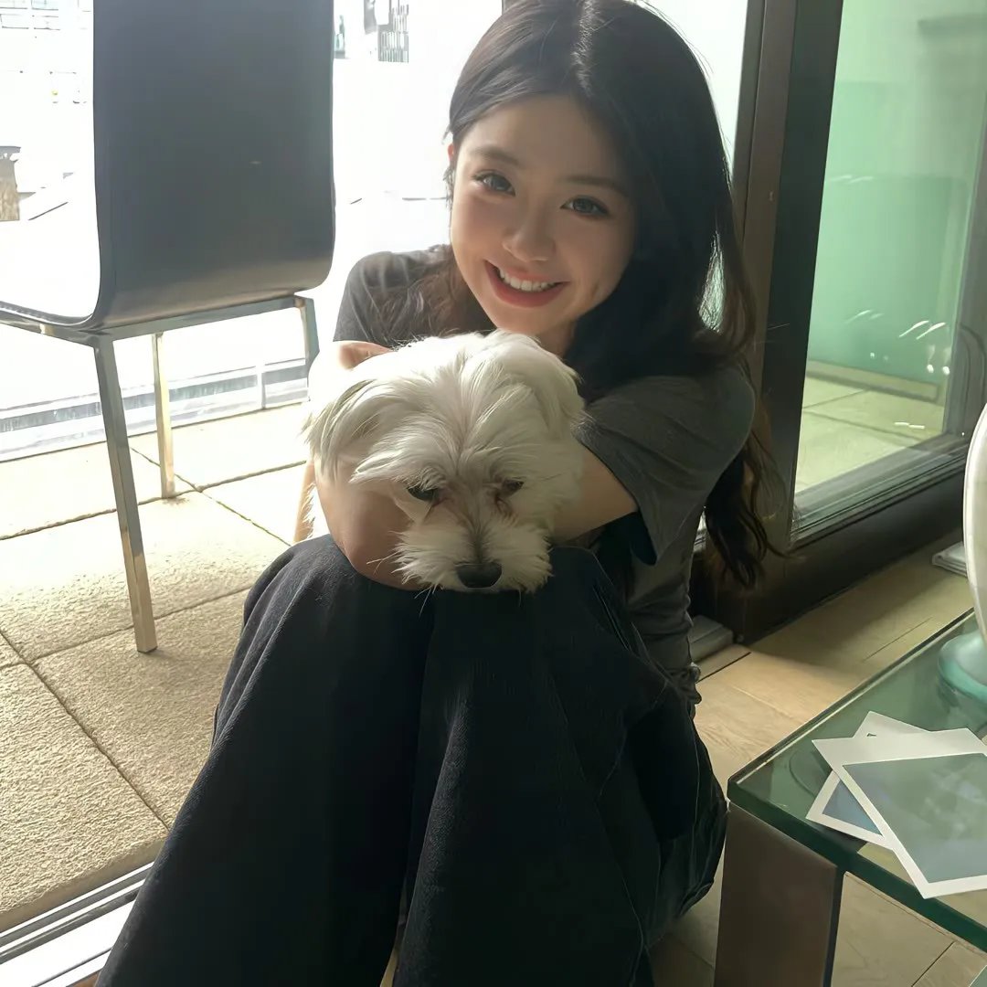 我是海鸥
